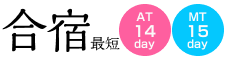 SIGNALBLUE�̍��h